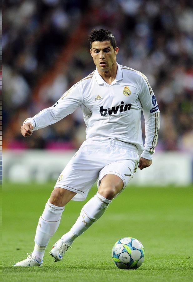 体表现展示 体表现展示